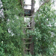 Hunting tree stand